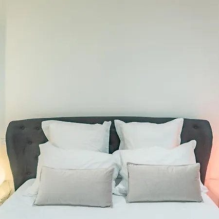 Le Joyau ! Brillant & Chic - Park. Prive - Premium * Troyes